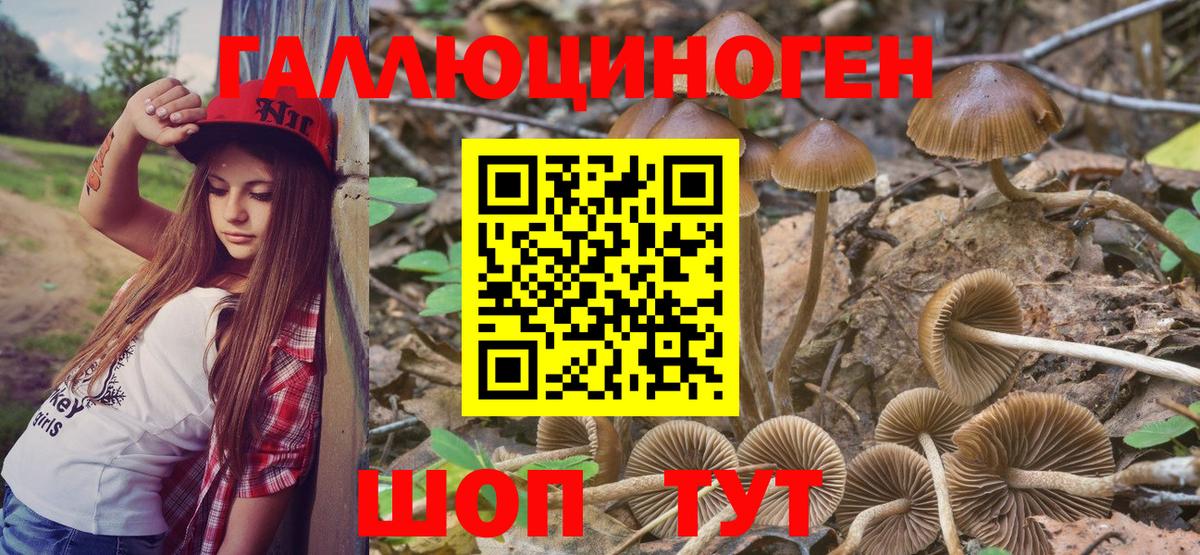Псилоцибиновые грибы GOLDEN TEACHER Ступино