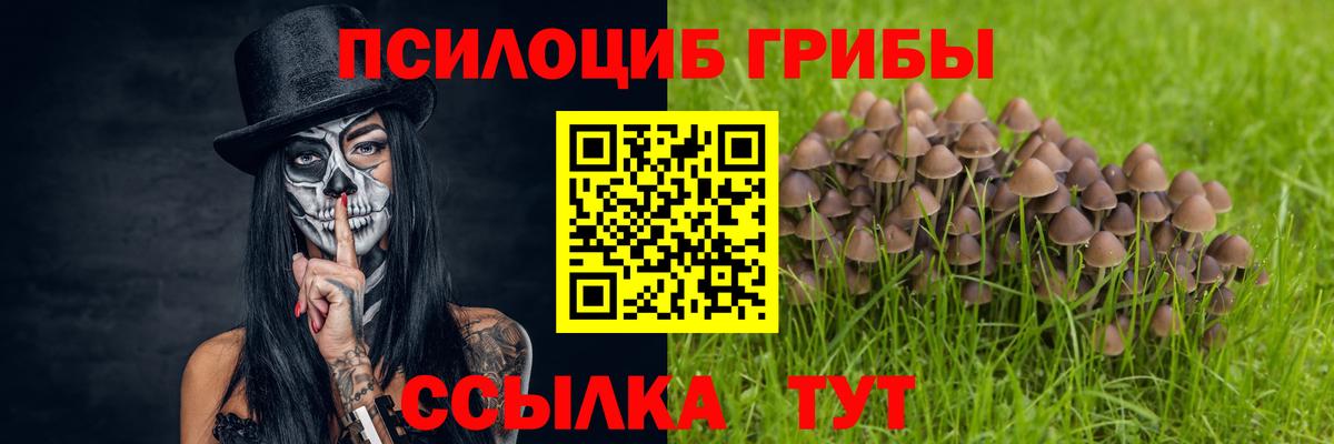 Галлюциногенные грибы Cubensis  Вход с VPN  Псилоцибиновые грибы мухоморы  Ступино 
